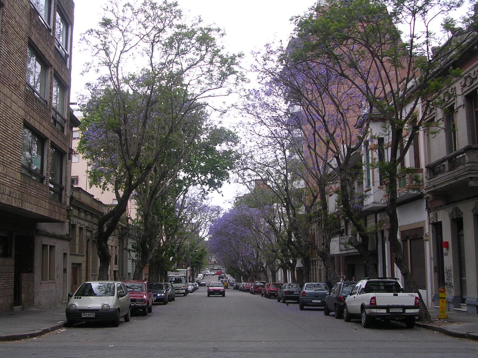 Montevideo — 2