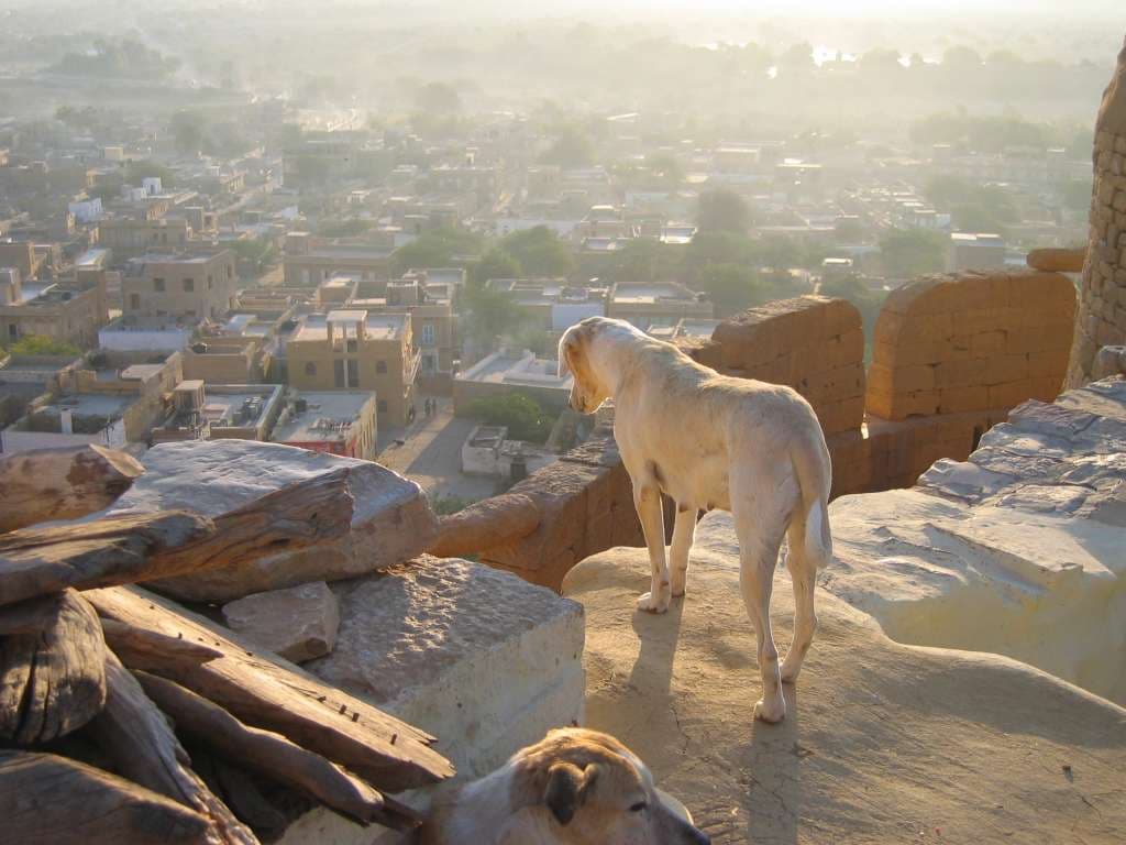 Jaisalmer — 2