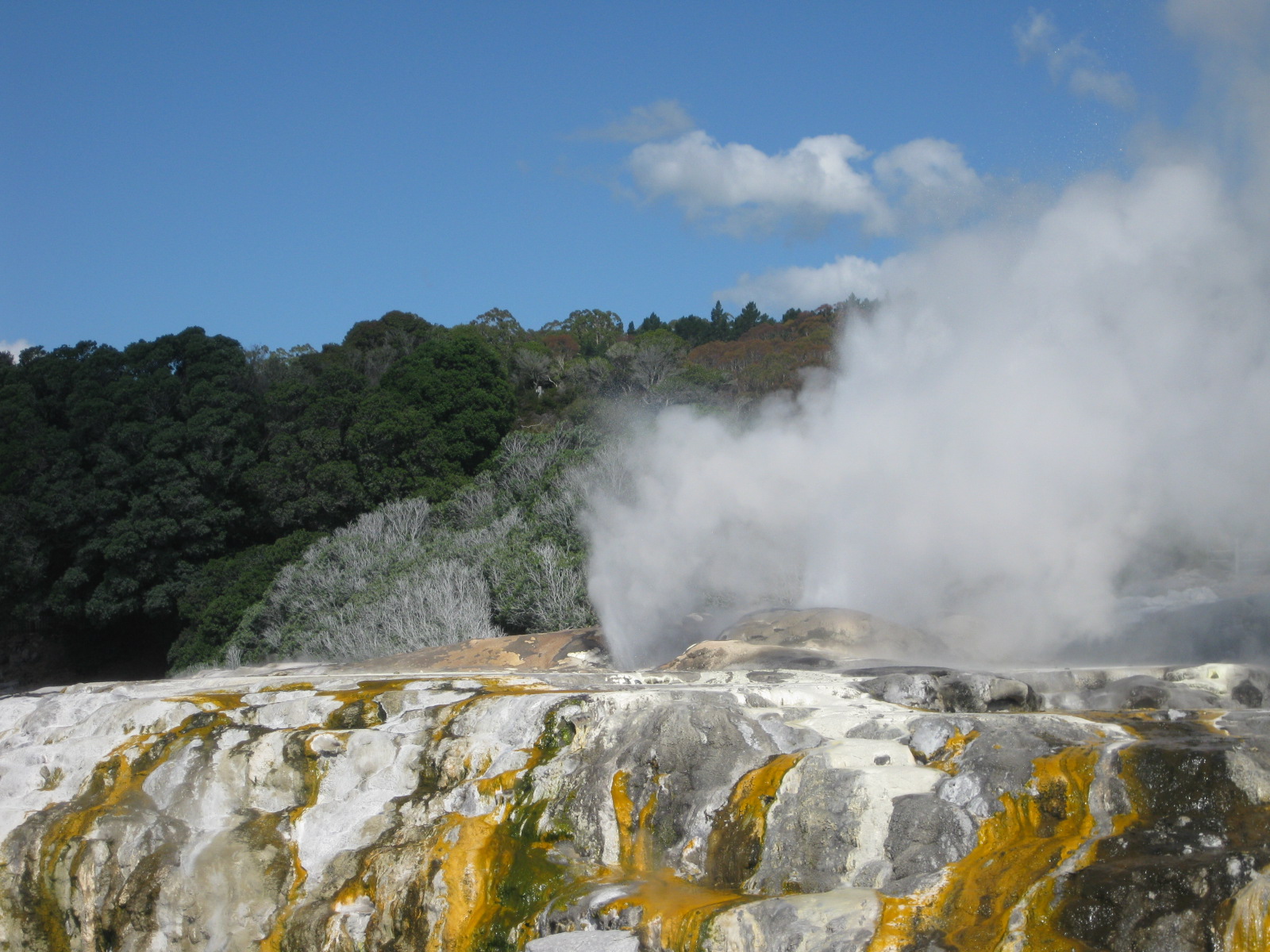 Rotorua — 5