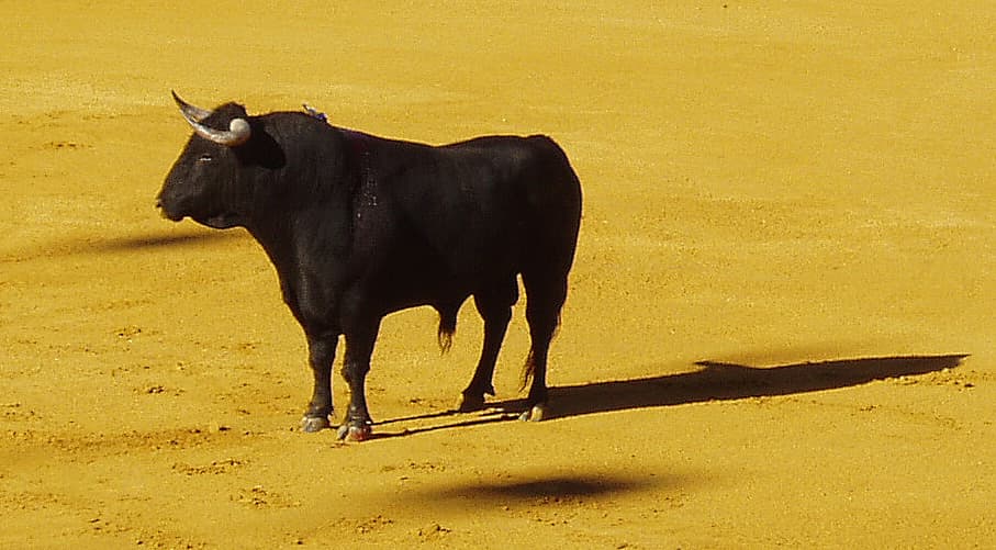 Ronda — 2