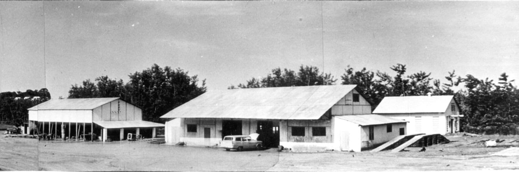 Bambari — 4