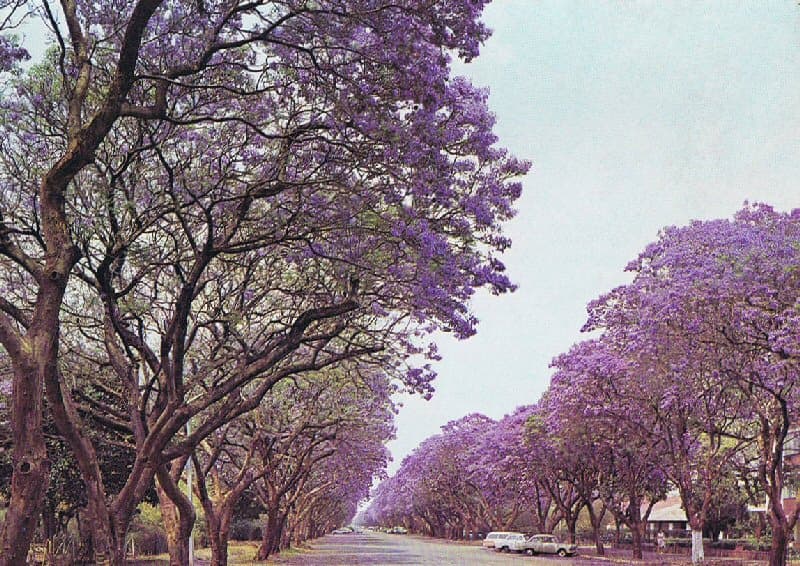 Harare — 2
