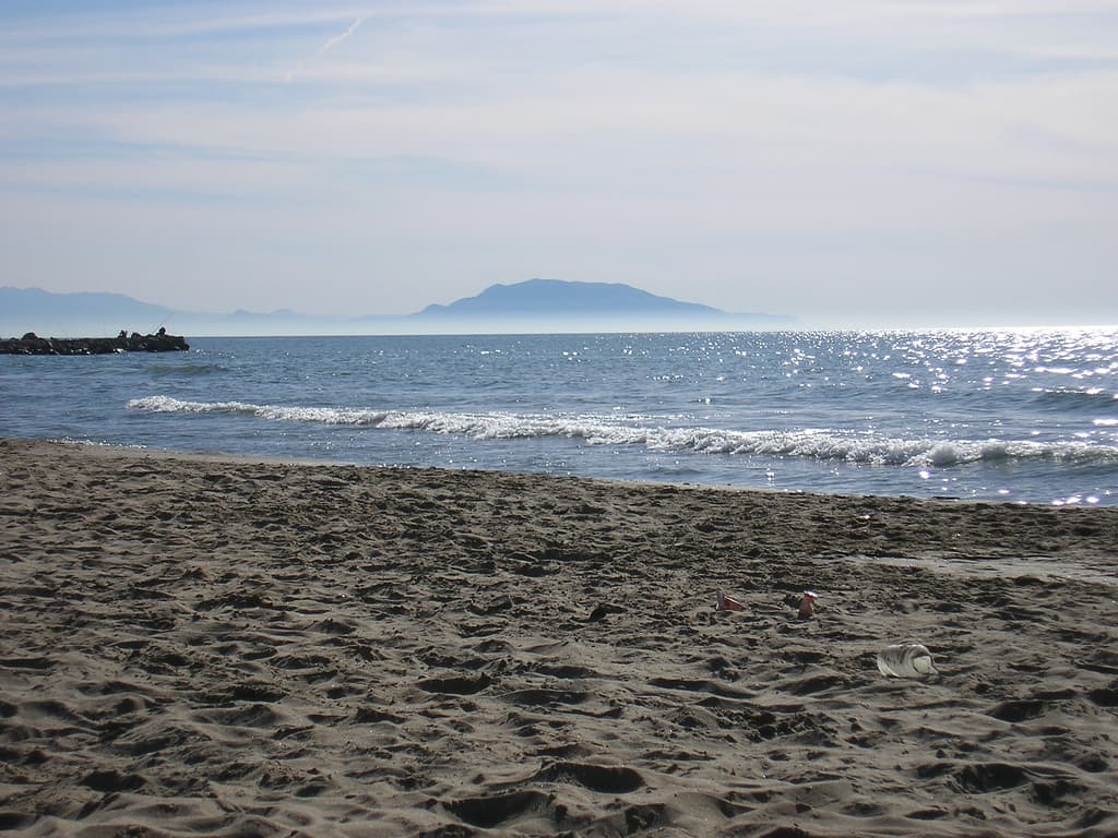 Alger — 1